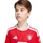adidas Fcb H Jsy Y Kinder - betsca/white