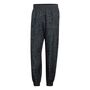adidas Pow Aop Pant - carbon/black