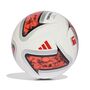 adidas Dfl Clb - white/black/solred