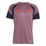 adidas Fcb Eu Tr Jsy - shafig/legink