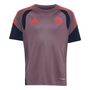 adidas Fcb Eu Tr Jsy Y Kinder - shafig/legink