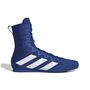adidas Box Hog 4 - royblu/ftwwht/solpur