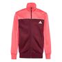 adidas J Cp Tr Ts - maroon/white/purtur