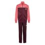adidas J Cp Tr Ts - maroon/white/purtur