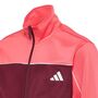 adidas J Cp Tr Ts - maroon/white/purtur