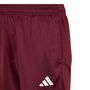 adidas J Cp Tr Ts - maroon/white/purtur