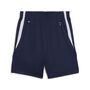 Puma teamJAWS Starter Shorts - PUMA Navy
