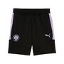 Puma Fcsp Evostripe Shorts - PUMA BLACK-VIVID VIOLET