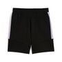 Puma Fcsp Evostripe Shorts - PUMA BLACK-VIVID VIOLET