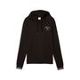 Puma PUMA CLASS Graphic Hoodie TR - PUMA Black