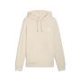 Puma PUMA CLASS Graphic Hoodie TR - Alpine Snow