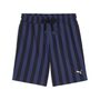 Puma PUMA CLASS 8 Shorts - New Navy