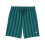 Puma PUMA CLASS 8 Shorts - Emerald Ice
