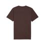 Puma GRAPHIC Retro Americana Washed Tee - Chocolate Brown
