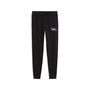 Puma ESS NATURE 2.0 Graphic Sweatpants TR G - PUMA Black