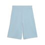 Puma MID90s Relaxed Long Shorts TR G - Seafoam