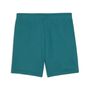 Puma ESS 2 COLOR No. 1 Logo Shorts TR B - Emerald Ice