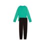 Puma ESS No.1 Logo Crew Sweat Suit TR B - Vibrant Green