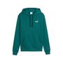 Puma ESS 2 COLOR Small No. 1 Logo Hoodie TR - Emerald Ice