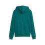 Puma ESS 2 COLOR Small No. 1 Logo Hoodie TR - Emerald Ice