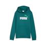 Puma ESS 2 COLOR No.1 Logo Hoodie TR B - Emerald Ice