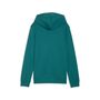 Puma ESS 2 COLOR No.1 Logo Hoodie TR B - Emerald Ice