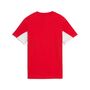 Puma ESS BLOCK Tee B - For All Time Red
