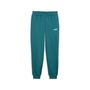 Puma ESS 2 COLOR No. 1 Logo Sweatpants FL cl - Emerald Ice
