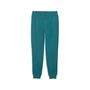 Puma ESS 2 COLOR No. 1 Logo Sweatpants FL cl - Emerald Ice