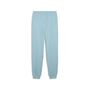 Puma ESS No. 1 Logo Sweatpants FL cl (s) - Seafoam