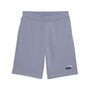 Puma ESS 2 COLOR No. 1 Logo Shorts 10 TR - Gray Sky