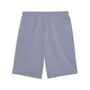 Puma ESS 2 COLOR No. 1 Logo Shorts 10 TR - Gray Sky