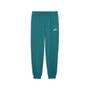 Puma ESS No. 1 Logo Sweatpants FL cl (s) - Emerald Ice