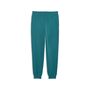 Puma ESS No. 1 Logo Sweatpants FL cl (s) - Emerald Ice