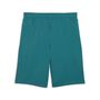 Puma ESS 2 COLOR No. 1 Logo Shorts 10 TR - Emerald Ice