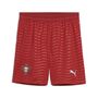 Puma FPF Shorts Replica - Club Red-Green Lagoon