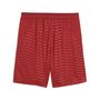 Puma FPF Shorts Replica - Club Red-Green Lagoon