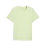 Puma M TAD ESSENTIAL HEATHER CAT TEE (CF large cat) - Apple Spritz Heather