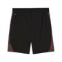 Puma individualFINAL Shorts - Dusky Gray-Mint Jelly-Glowing Red