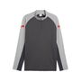 Puma IndividualLIGA 1/4 Zip Top - Dusky Gray-PUMA Red-Gray Echo