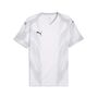 Puma teamFINAL Graphic Jersey - PUMA White-PUMA Black-Flat Light Gray