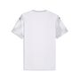 Puma teamFINAL Graphic Jersey - PUMA White-PUMA Black-Flat Light Gray