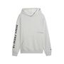 Puma M GRAPHICS FRENCH TERRY HOODIE - Light Gray Heather