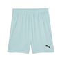 Puma teamGOAL Shorts - Modern Mint