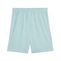 Puma teamGOAL Shorts - Modern Mint