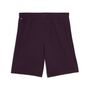 Puma teamGOAL Shorts - Midnight Plum-PUMA White