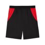 Puma FB Shorts Replica - PUMA Black-PUMA Red