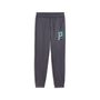 Puma ACTIVE SPORTS Poly Pants B - Galactic Gray