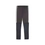 Puma IndividualLIGA Training Pants - Strong Gray-PUMA Red-Gray Echo