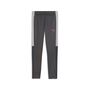 Puma IndividualLIGA Training Pants Jr - Strong Gray-PUMA Red-Gray Echo